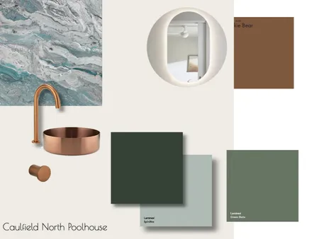 Caulfield Poolhouse Bathroom Interior Design Mood Board by natasha@projectn.com.au on Style Sourcebook