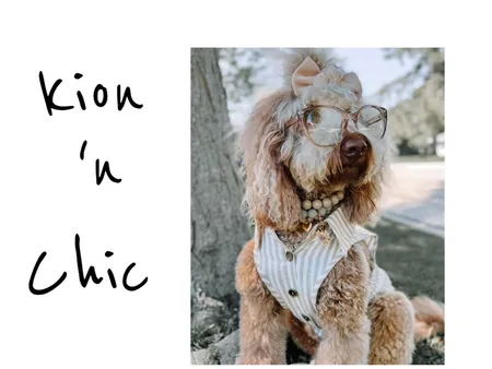 kion n chic Interior Design Mood Board by Ivlahopoulou@gmail.com on Style Sourcebook