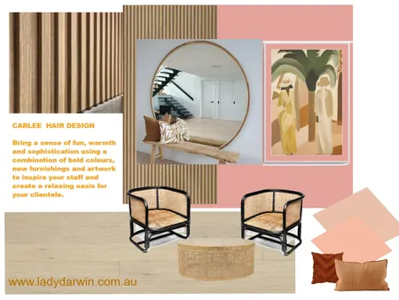Salon refresh Interior Design Mood Board by Lady Darwin Design on Style Sourcebook