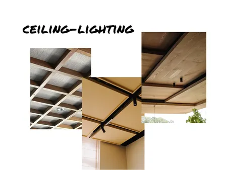 Ceiling / lighting Concept 1 Interior Design Mood Board by asusap on Style Sourcebook