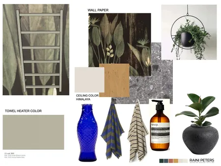 S M Interior Design Mood Board by Raini Peters Interior Design + Styling on Style Sourcebook