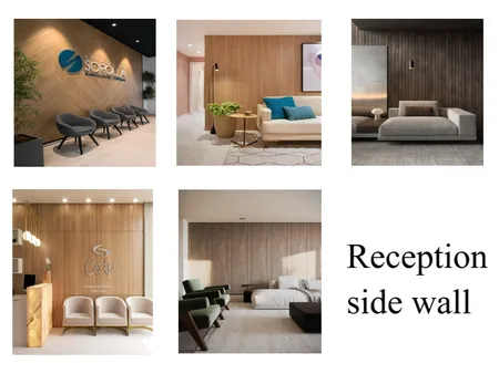 Reception side wall Interior Design Mood Board by Kossenza Homes on Style Sourcebook