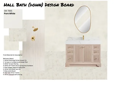 CDS Hall Bath (down) Design Board Interior Design Mood Board by MicheleDeniseDesigns on Style Sourcebook