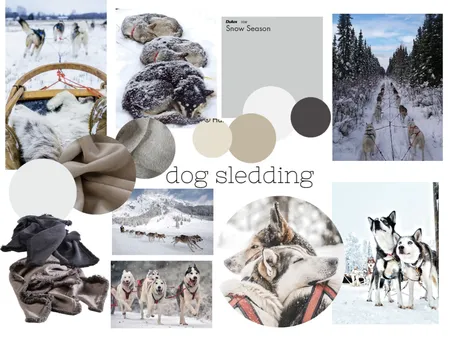 MB dog sledding Interior Design Mood Board by DMQuinn on Style Sourcebook