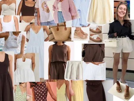 Summer 25-26 Interior Design Mood Board by meredithkselman@gmail.com on Style Sourcebook