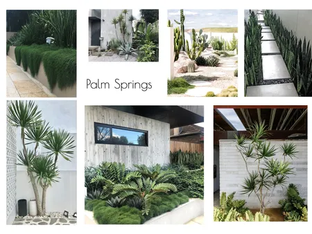 Palm Springs Style Interior Design Mood Board by Olive & Pink