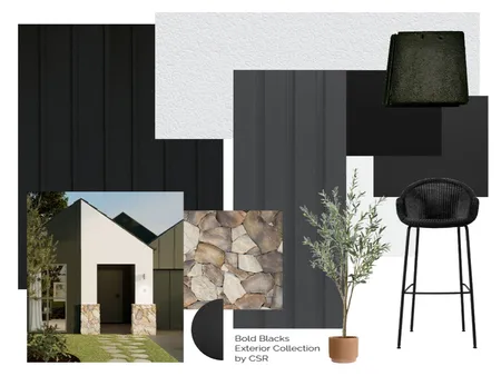 Bold Blacks Exterior Collection Interior Design Mood Board by CSR Limited