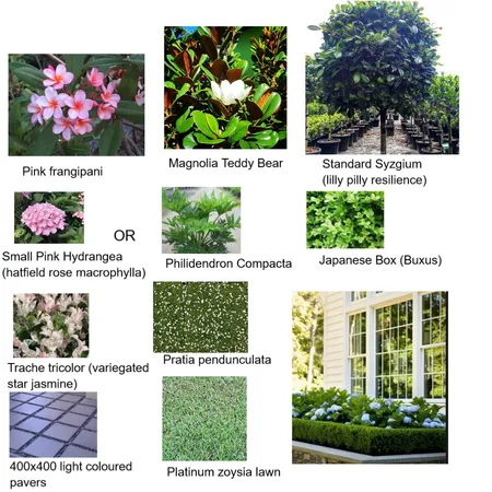 gardenplants Interior Design Mood Board by Letitiaedesigns on Style Sourcebook