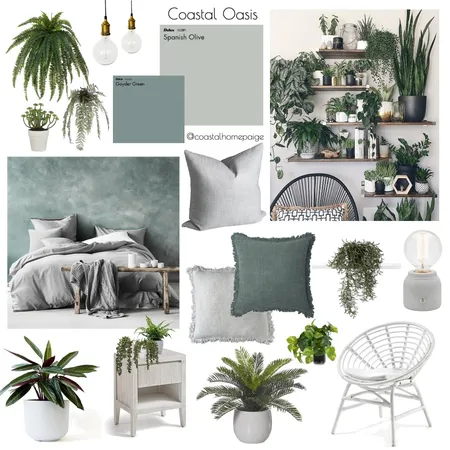 Mackenzie's plant room Interior Design Mood Board by CoastalHomePaige on Style Sourcebook