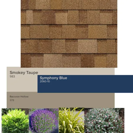 Exterior House Palette Option B Interior Design Mood Board by RoxaneD on Style Sourcebook