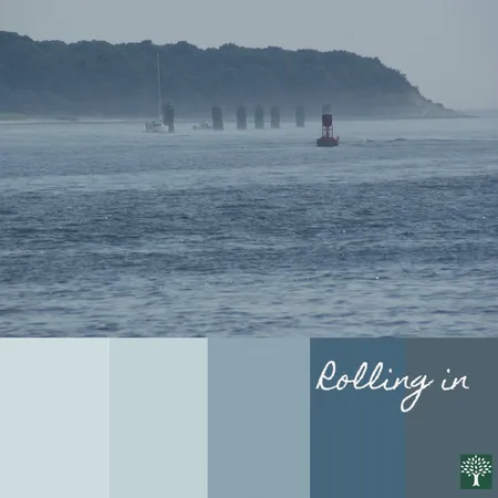 Colour Board - Rolling In Interior Design Mood Board by Chestnut Interior Design