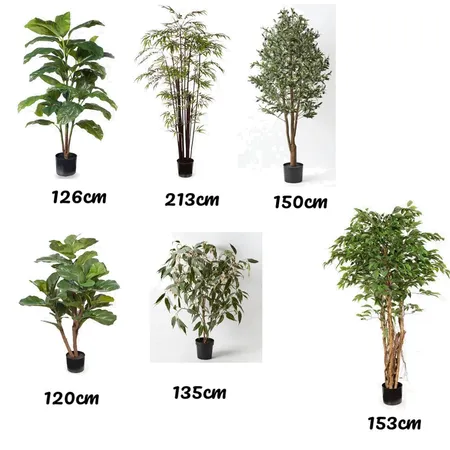 Twee tree Interior Design Mood Board by Rhiannon Lee, Oleander & Finch Interiors on Style Sourcebook