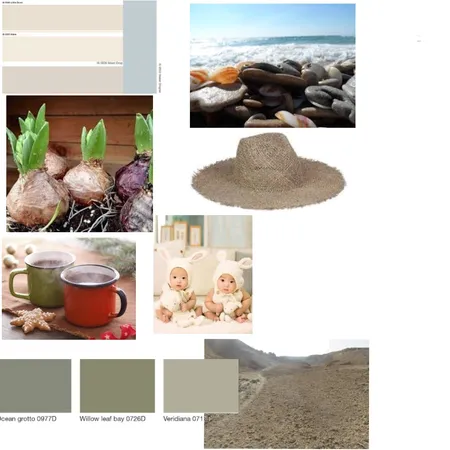 קיר השראה- פינת אוכל וסלון Interior Design Mood Board by reut on Style Sourcebook