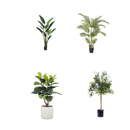 plants Interior Design Mood Board by Peetkaa on Style Sourcebook