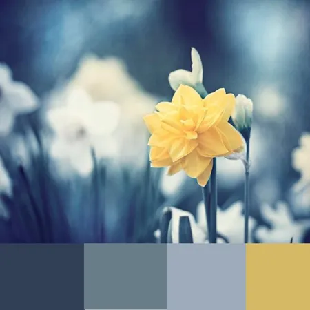 Morning meadow Interior Design Mood Board by Julz83 on Style Sourcebook