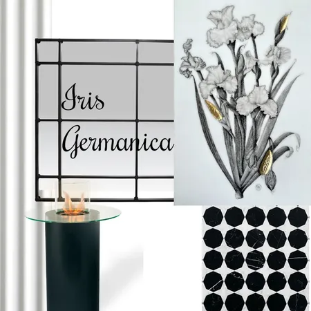 Iris Germanica Interior Design Mood Board by andrea.moser@bigpond.com on Style Sourcebook