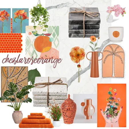 chezlaroseorange Interior Design Mood Board by Millisrmvsk on Style Sourcebook