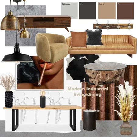 vet indust din/liv Interior Design Mood Board by phoebep on Style Sourcebook