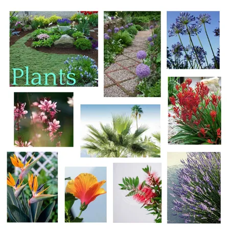Andrea & Grahams Backyard: Plants Interior Design Mood Board by Atelier Cecilia Martin on Style Sourcebook