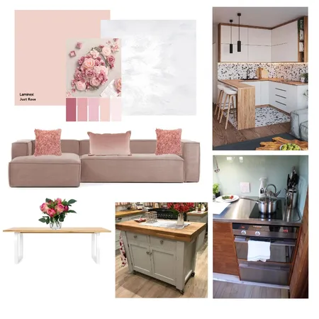 Kaz - Pink Rose Concept - Apartment living. Interior Design Mood Board by Becks Interior Designs on Style Sourcebook
