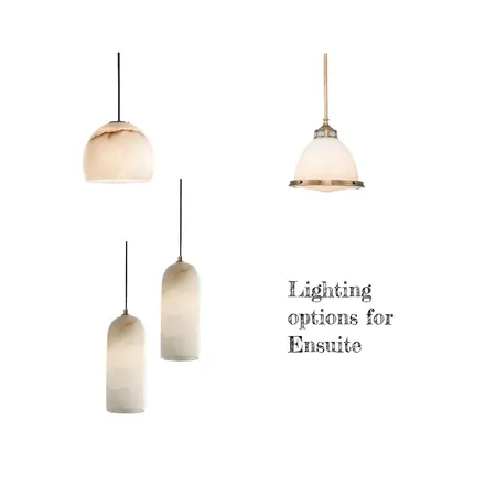 Lighting options for Yokine Ensuite Renovation Interior Design Mood Board by Jennypark on Style Sourcebook