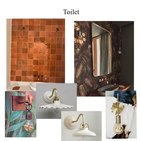Toilet Interior Design Mood Board by Lulifernandez on Style Sourcebook