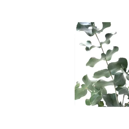 Hacienda Red - renovation Interior Design Mood Board by mohga reda on Style Sourcebook