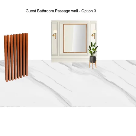 Guest Bathroom passage - Wall Option 3 Interior Design Mood Board by Asma Murekatete on Style Sourcebook