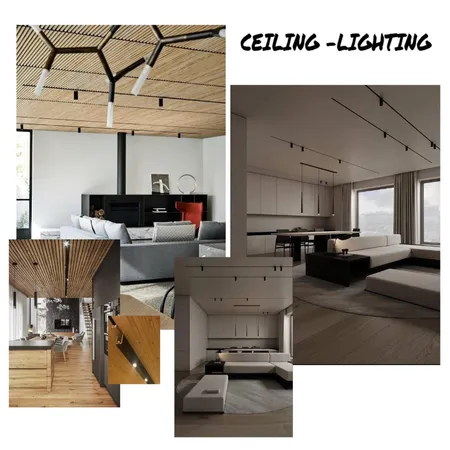 Ceiling / lighting Concept Interior Design Mood Board by asusap on Style Sourcebook
