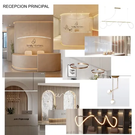 VISION RECEPCION PRINCIPAL Interior Design Mood Board by Lulifernandez on Style Sourcebook