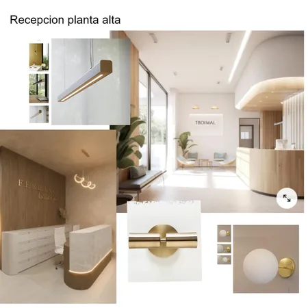 Recepcion PA VISION Interior Design Mood Board by Lulifernandez on Style Sourcebook