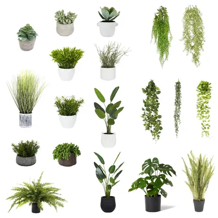 plants Interior Design Mood Board by Tricia Kramer on Style Sourcebook