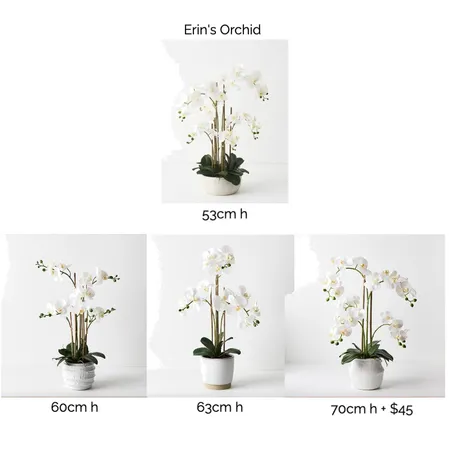 Hodgkinson - Orchids Interior Design Mood Board by EGanley on Style Sourcebook