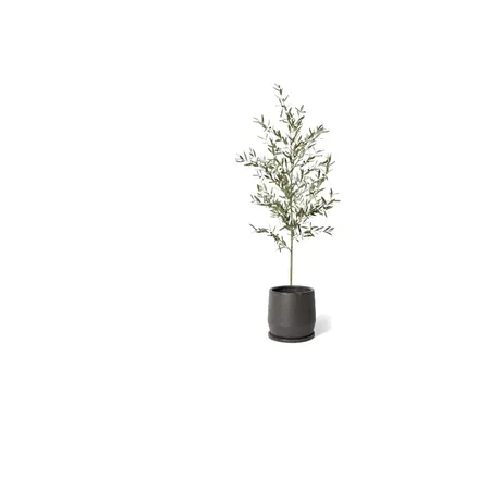olive plant Interior Design Mood Board by lisahardie on Style Sourcebook