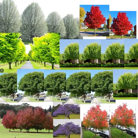 Trees Interior Design Mood Board by Georgie Kate on Style Sourcebook