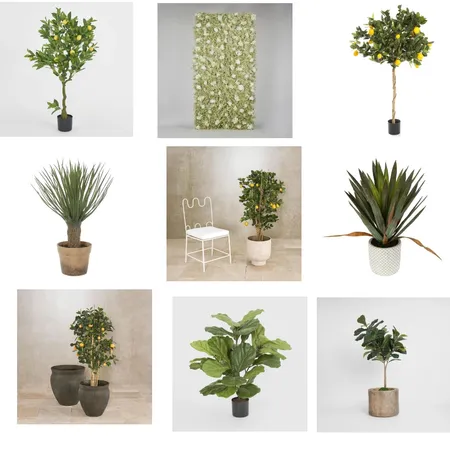 Artificial Flora Interior Design Mood Board by House of Walton on Style Sourcebook