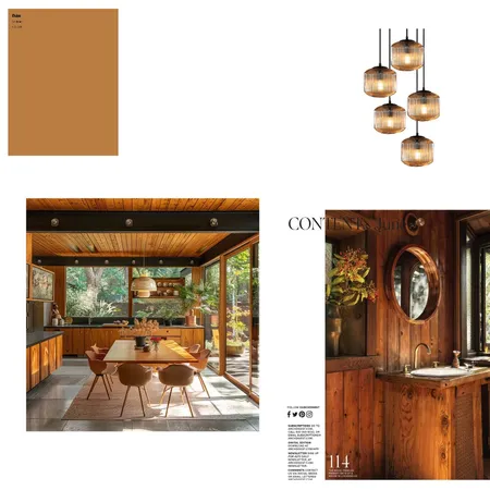 mid century Interior Design Mood Board by haileyscheurerIDI on Style Sourcebook