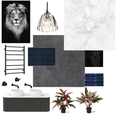 Beau's Bathroom Interior Design Mood Board by Amber Eastern Suburbs
