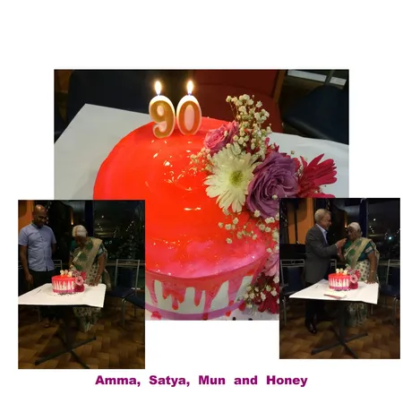 Amma, Sat, Mun and Honey1 Interior Design Mood Board by vreddy