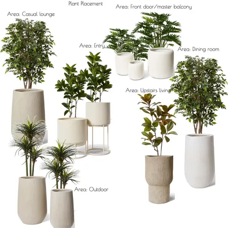 Plant Placement Interior Design Mood Board by The Styling Crew