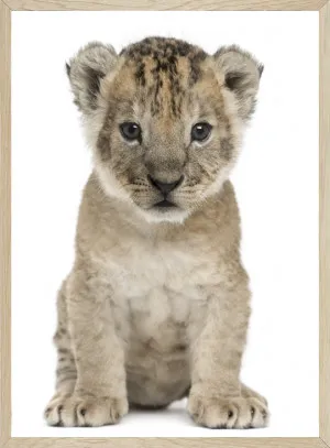 SIMBA BY SEASCAPE LIVING by Seascape Living, a Original Artwork for sale on Style Sourcebook
