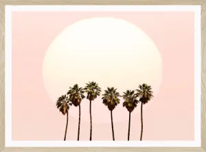 SUMMER PALMS by SeascapeLiving, a Original Artwork for sale on Style Sourcebook
