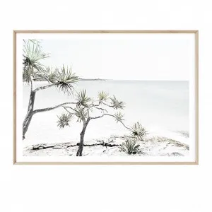 Stradbroke Island III by Boho Art & Styling, a Prints for sale on Style Sourcebook