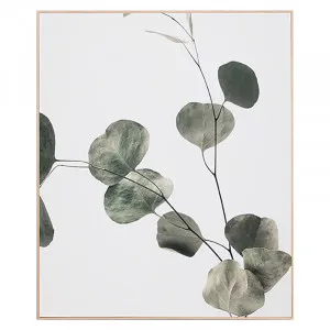Eucalyptus Branch 2 Box Framed Canvas in 100x120cm by OzDesignFurniture, a Painted Canvases for sale on Style Sourcebook
