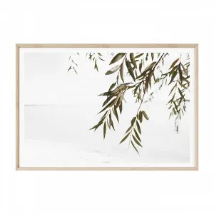 Coastal Gums by Boho Art & Styling, a Prints for sale on Style Sourcebook