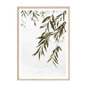 Coastal Gums II by Boho Art & Styling, a Prints for sale on Style Sourcebook