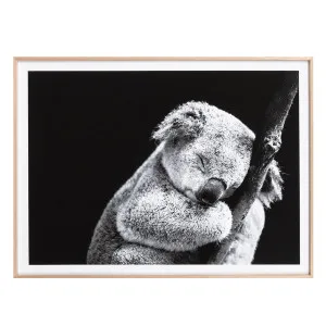 Sleepy Koala Box Framed Canvas in 120 x 150cm by OzDesignFurniture, a Painted Canvases for sale on Style Sourcebook
