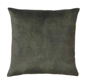 Ava 50x 50cm Velvet Cushion by Interior Secrets - AfterPay Available by Interior Secrets, a Cushions, Decorative Pillows for sale on Style Sourcebook