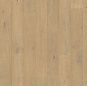Champane by The Flooring Lab, a Light Neutral Engineered Boards for sale on Style Sourcebook