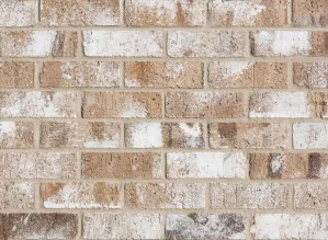 Overland - Tarkine (Pristine Collection) by Daniel Robertson, a Bricks for sale on Style Sourcebook